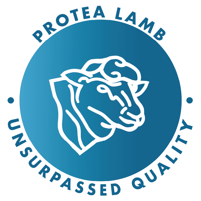 Protea Lamb Co